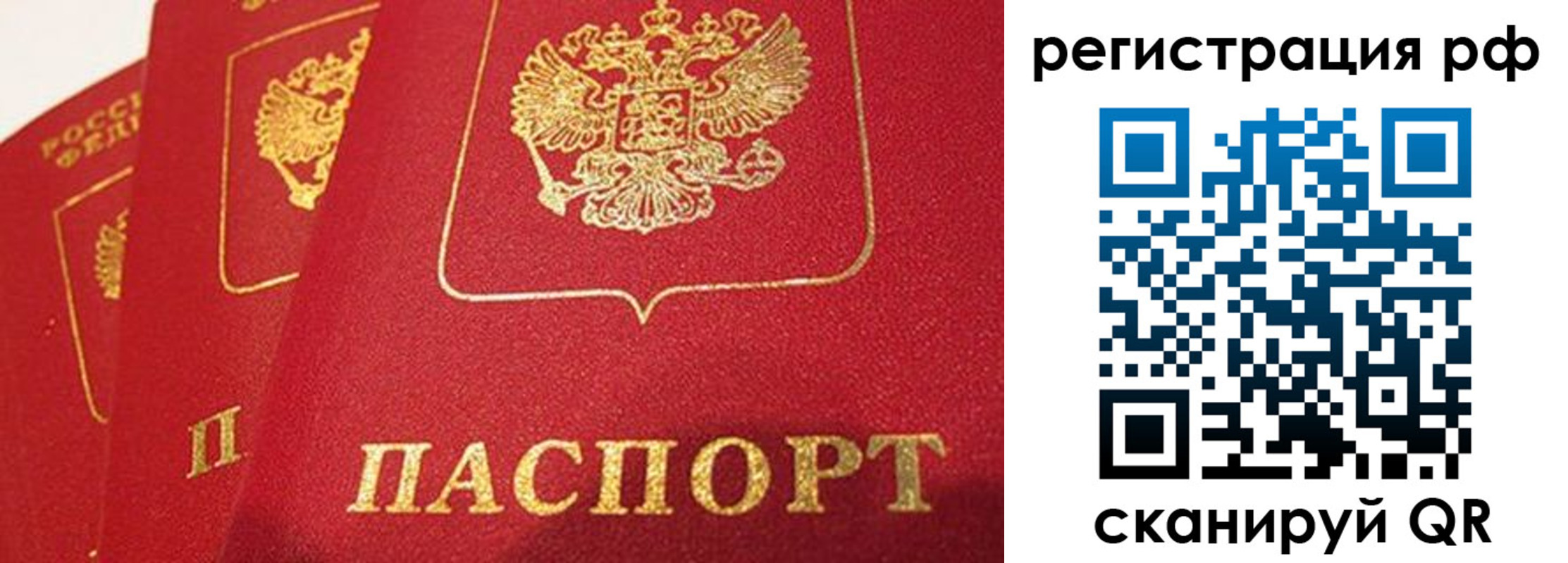 прописка поиск в Юже